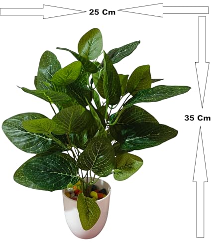 Image of Natural Looking Artificial Money Plant /Tree with Pot | Ornamental Plant for Interior Decor | Home /Shop /Office Decor (Dark-Green)