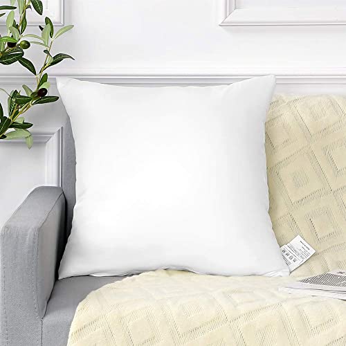 Artscope Premium Throw Pillow Insert Square Form Cushion Stuffer For Couch, Sofa, Bed - Indoor Decorative Pillows Inserts 18X18 Inch #TOP7