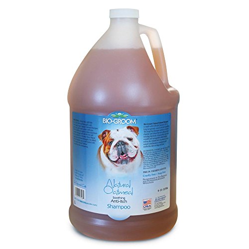 Bio-Groom Natural Oatmeal Shampoo for Dogs and Cats - Relieves Itching and Dry Skin