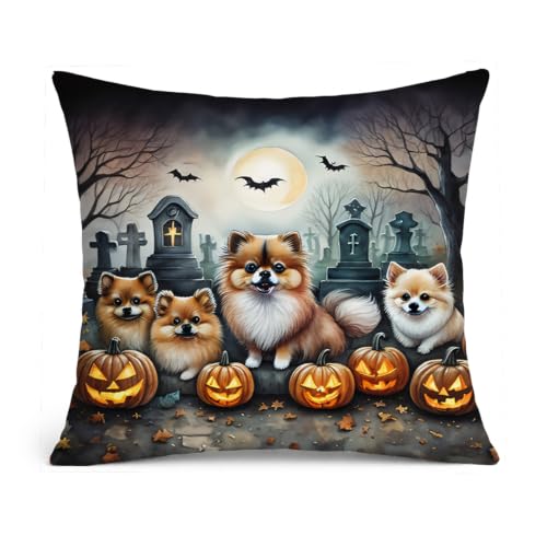 Caroline's Treasures DAC2068PW1414 Pomeranian Spooky Halloween Fabric Decorative Pillow Machine Washable, Indoor Outdoor Decorative Pillow for Couch, Bed or Patio, 14Hx14W