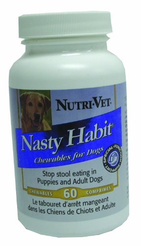Nutri-Vet Wild Alaskan Salmon Oil for Dogs - Skin & Coat for Dogs - Omega-6 - 6.5 ounces