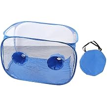 Still Air Box, 2 Arm Ports Mushroom Grow Box Easy Maintenance for Study