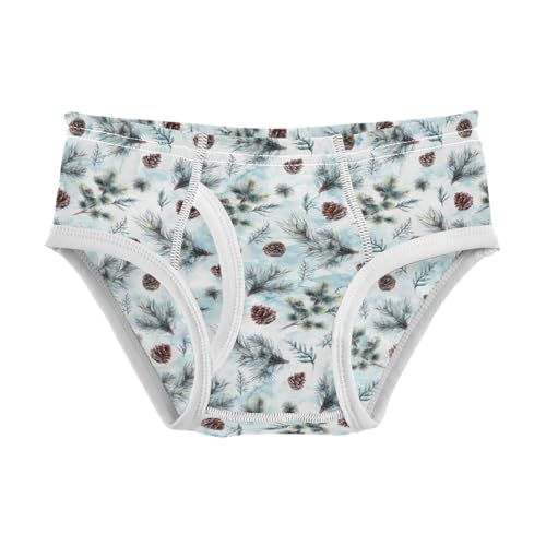 Boys' Exclusive Briefs Toddler Underwear 95% Combed Cotton Boxerbriefs 2T Pine Cone Pattern 43