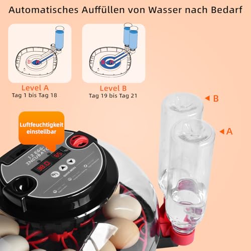 Brutautomat Vollautomatisch Eierinkubator 12 Eier mit Wasserversorgung,Automatischem Eierwender und Temperaturkontrolle Feuchtigkeit Inkubator Brutmaschine für Hühner,Wachtel,Enten