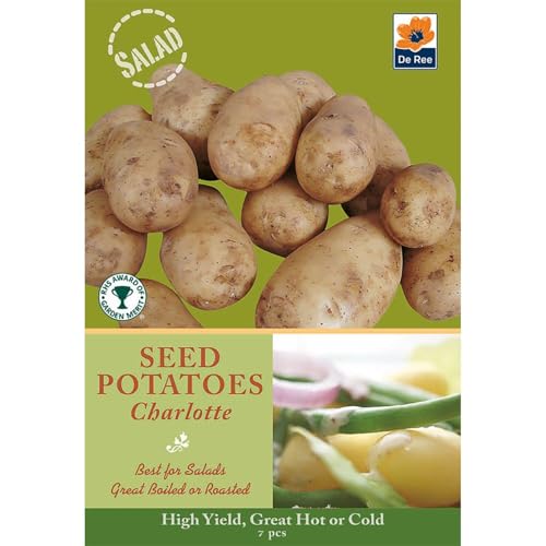 Seed Potatoes, Grow Your Own Delicious Potatoes (Charlotte Salad Potatoes)