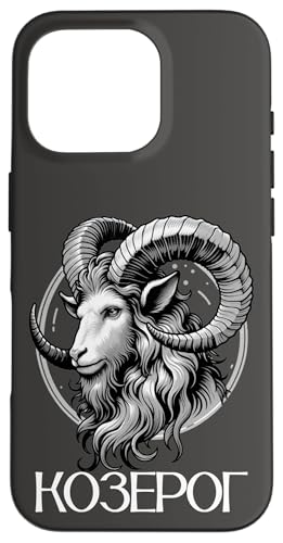 �萯�p���V�A�T�C���R�r���a�����L�������V�A�� �X�}�z�P�[�X iPhone 16 Pro �p