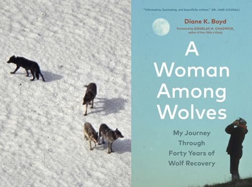 Decoding decades of wolf research