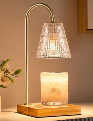 Hong-in Candle Warmer Lamp with Timer Dimmer,Birthday Gifts for Women Mom Sister,House Warming Gifts New Home Room Decor,Vintage Wax Warmer for Scented Wax Jar Candles