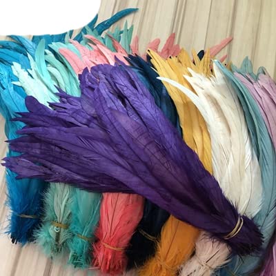 50-500 pezzi per lotto piume di coda di pollo naturali 10-12 pollici 25-30 cm piume di gallo di gallo decorazioni di carnevale di nozze fai da te-viola, 25-30 cm 50 pz