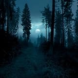 Ryk Hall Mystic Grove