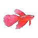 GRIRIW Plant Decorations Plants Decor Simulation Betta Aquarium Landscape Fish Silicone Betta Aquarium Decor Tropical Fish Ornament Fish Tank Decor Glowing Betta Animal Accessories
