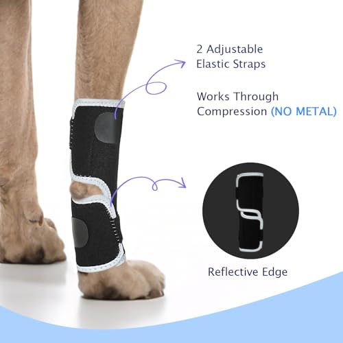 Image of Dog Front Leg Brace - Hock Joint Compression Wrap Providing Stability XL