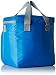 Papillon 95090 - Bolsa térmica, color azul 28 litros