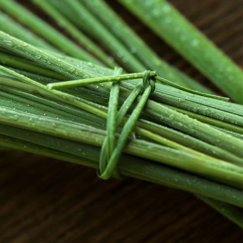 Opiniones de Ralph Lauren Perfumes los 10 mejores. 14 Imagen adicional