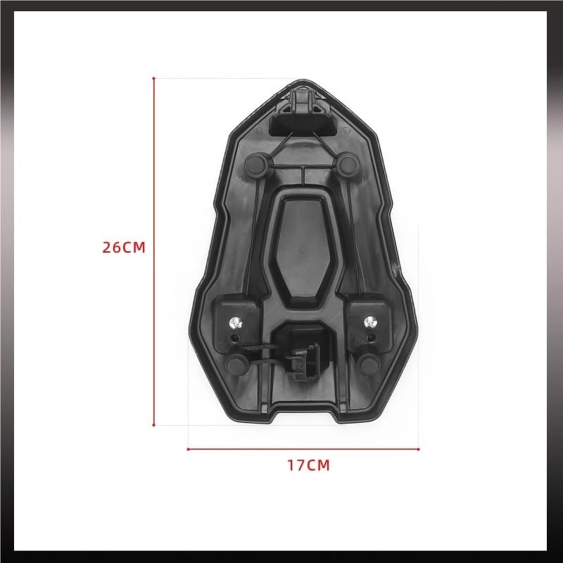 Carénage arrière en carbone ABS pour BMW S1000R et M1000R 2021-2025 style racing - 7