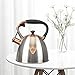 Tea Kettle -2.9 Quart Tea Kettles Stovetop Whistling Teapot Stainless Steel Tea Pots for Stove Top Whistle Tea Pot