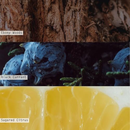 Image of Illume Demi Vanity Tin Candle, North Sky