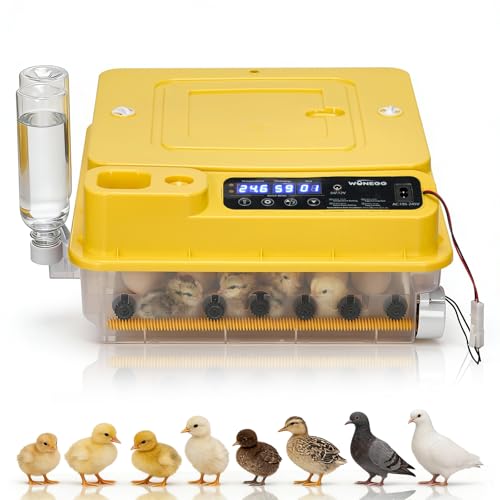 LEADZM Couveuse œuf Automatique 24-36 Oeufs avec Retournement Automatique et Ajout d'eau，Couveuse Oeuf Contrôle Température， Affichage Humidité，5 Modes d'incubation pour Poules Canards Oies Cailles