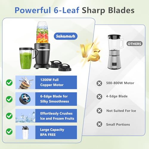 Inexpensive Blender For Ice