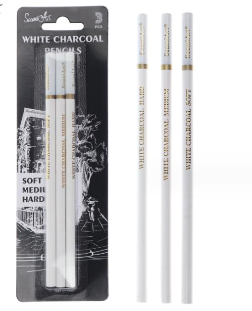 White Charcoal Pencils Drawing, Highlight Sketch White Pencil charcoal for Artists, White Drawing Pencils for Artists Beginner Student Designer, Soft/Medium/Hard White Charcoal Sketch Pencils (3 pcs)
