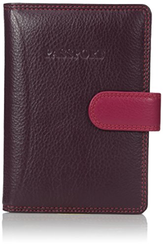 Visconti Soft Leather Secure RFID Blocking Passport Cover Wallet - POLO 2201, Plum/Multi, One Size