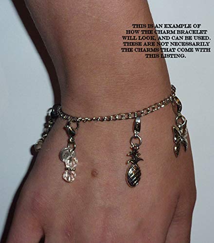 Image of Hidden Hollow Beads 4 Clip On Charms for Purse, Handbag, Keychain, Zipper Pull, Backpack, Jewelry Accessory, USA