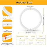 Zoom IMG-1 22w tubo fluorescente t9 rotondo Zoom IMG-1 22w tubo fluorescente t9 rotondo