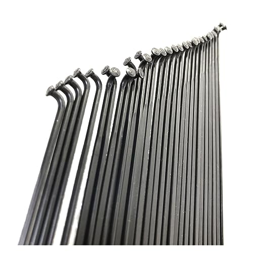 Rayon de vélo plat 14G en acier inoxydable pour roues de course robustes