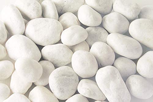 Todoestores Piedras de mármol Blanco Natural (500)