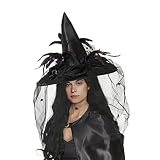CA Mode Women Witch Hat Wizard Cap Headwear Spider Feather Halloween Costume