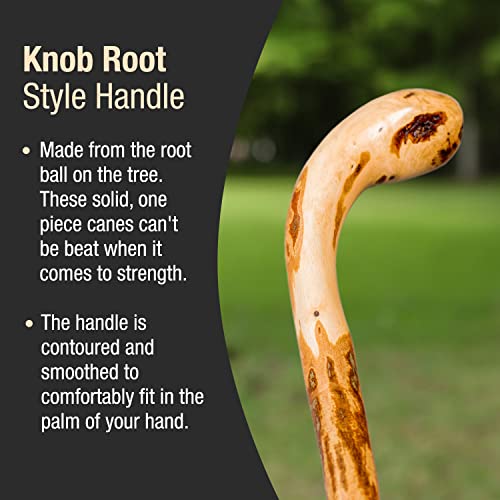 image for Brazos Rustic Wood Walking Cane, Hardwood, Knob Root Style Handle, for