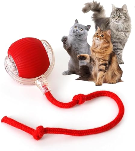 Rocfish Interactive Cat Toy with Chase Ball and Tail (Red)