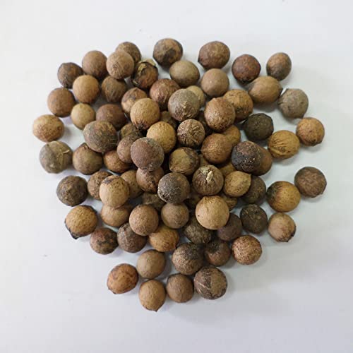 Santalum Album Seeds Indian Sandalwood Edible Evergreen Drought Tolerant Fragrant Borders Cottage Outdoor 10Pcs Tropical Tree Seeds By Yegaol Garden #TOP5