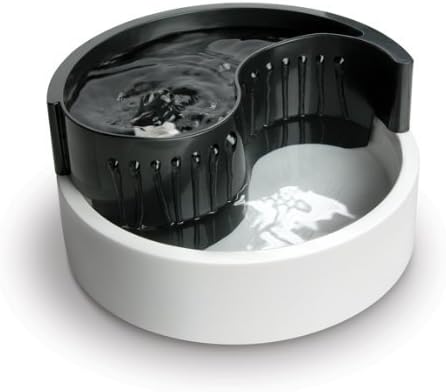 pioneer drinking fountain