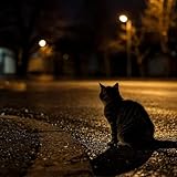 neko neko project