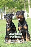 Jagdterrier Dog Breed: Things You Need to Know about The Fierce Little Hunter: Jagdterrier Dog Breed Information and Pictures