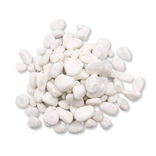 Unpolished White Pebbles 10 Lb. - 1 inch Pebbles for Plants, Gardens, Fish Tank Gravel, DÃ©cor, Landscaping, Succulent, Terrarium, 100% Natural Stone Pebbles Decorative Rocks, Matte White Finish