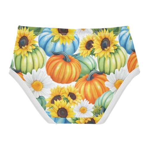 Joisal Girls Underwear Toddlers 2t Cotton Girl Panties Cute Fun Kids Briefs Undies Painted Style Pumpkins Orange2