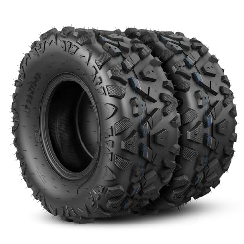 NORTHWHEEL 22x10x10 ATV Tires All Terrain, 22x10-10 ATV/UTV Tires for Sand Mud Trail, 4PR, Non-Directional Tread, Tubeless, Set of 2
