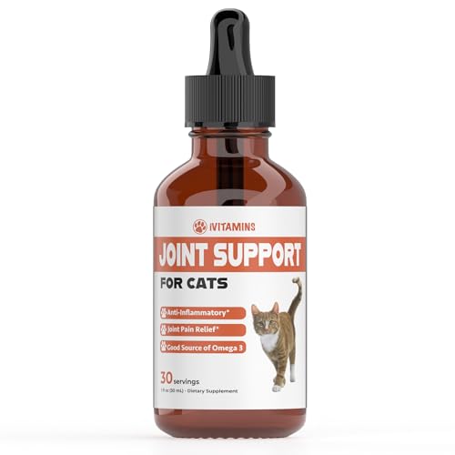 View of The Ultimate Guide To Cat Leg Joints: Unveiling Common Injuries And ...