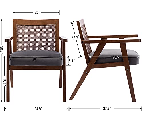 Modern Cane Back Living Room Chair, Accent Arm Chair With Nature Solid Wood Frames In Walnut, Modern Living Room Arm Chair, Gray #TOP6