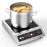 Payisho Induction Cooktop