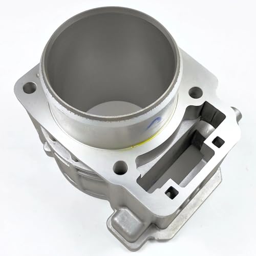 Cylindre de rechange CF 520 pour stopper la perte de puissance - 2