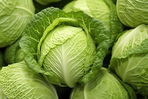 Fresh Organic Green Cabbage by RawJoy Farms, Pack of 1 - Thumbnail 3