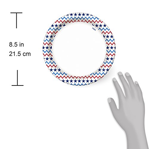 Dixie Patriotic Paper Lunch Plates, 8 1/2", 48 Ct #TOP2