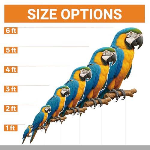 Image of Parrot Life Size Cardboard Cutout, 4FT, 1 PC, Party Decor | Animal Standup for Events, Birthday, Photos, Home Decor, Photo Booth, Office, Classroom, and More, All Occasions