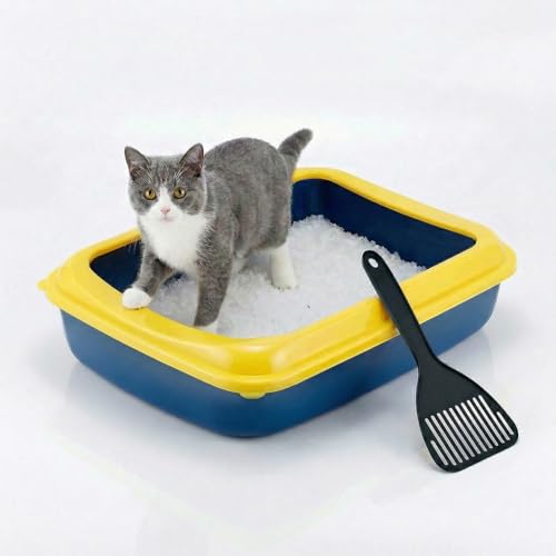 Animal House Lettiera per Gatti con Bordo, Vaschetta Igienica con