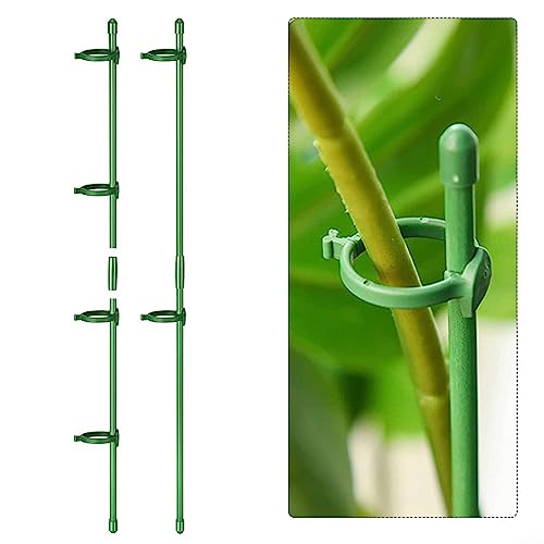 30 Stks Plant Ondersteuning Stakes Met 60 Clips Verstelbare Tomaat Pioen Ondersteuning Frame Ring Kooi Houder, Plant Ondersteuning Voor Tuin Bloem Monstera Hortensia's Groenten - Afbeelding 5