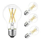 A19 E26 Light Bulb, LED Edison Bulbs 60 watt...