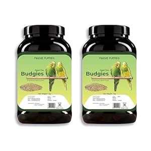 Foodie Puppies Bird Food for Budgies – 2Kg | Natural & Healthy Premium Mix Seeds, Canary, Yellow Proso, Browntop, Sunflower, Pearl, Oats & Niger
